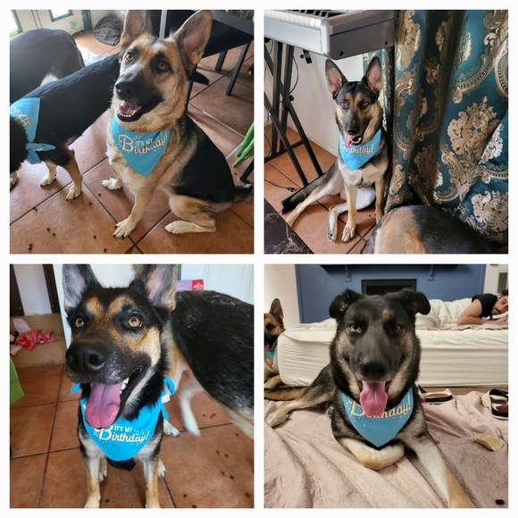 ✨️ IVETT'S LIVE NOTIFICATION✨️ DESIGNER & VINTAGE VERDICT✨️ - Picture 7 of 11